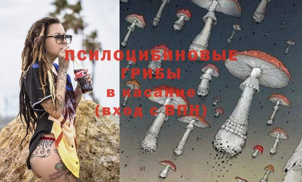 PSILOCYBIN Абаза