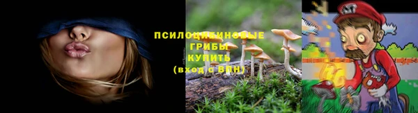 2c-b Абдулино