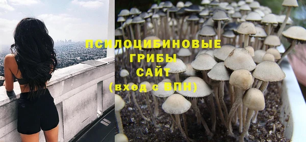 2c-b Абдулино