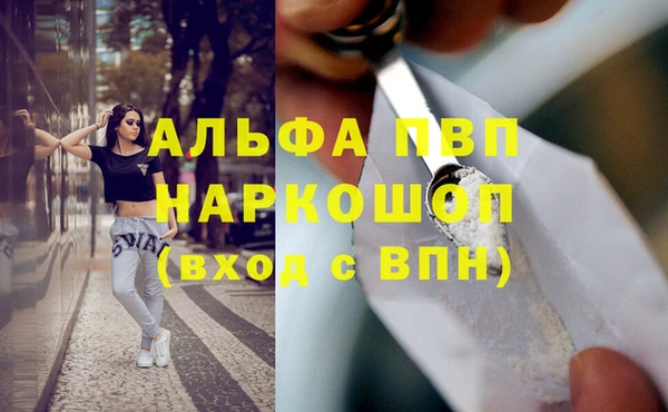 PSILOCYBIN Абаза