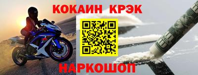 стаф Гай