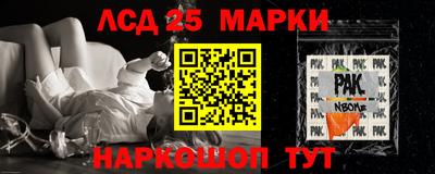 стаф Гай