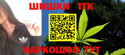 гидропоника Можга