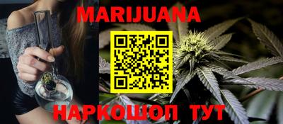 стаф Гай