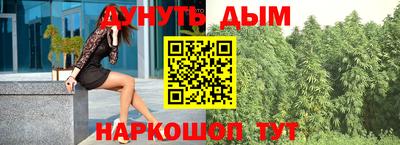 стаф Гай