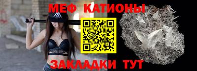 стаф Гай