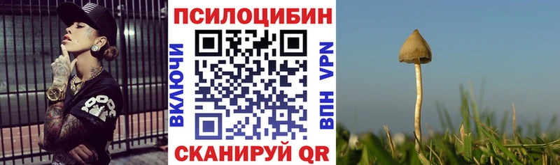 Галлюциногенные грибы мицелий  купить наркоту  Новоалександровск 