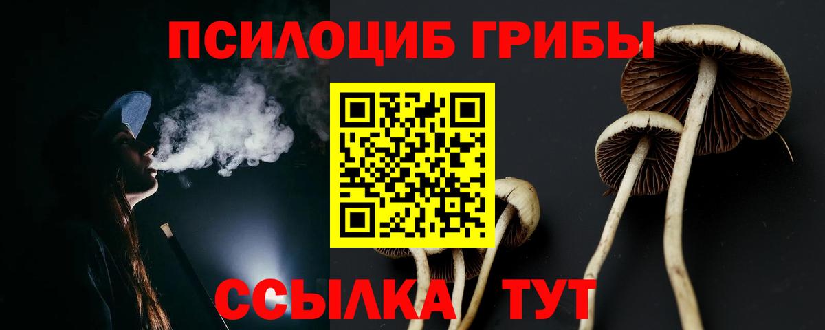 Новоалександровск  Галлюциногенные грибы Magic Shrooms  как найти закладки  Вход с VPN  Галлюциногенные грибы прущие грибы 