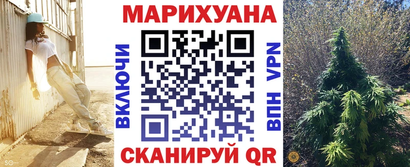 Марихуана THC 21%  как найти закладки  Новоалександровск 